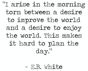crop-eb-white-quote